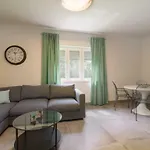 Gala Apartament